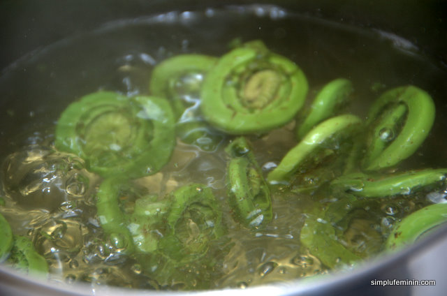 Fiddlehead