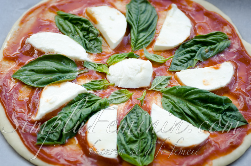 pizza margherita